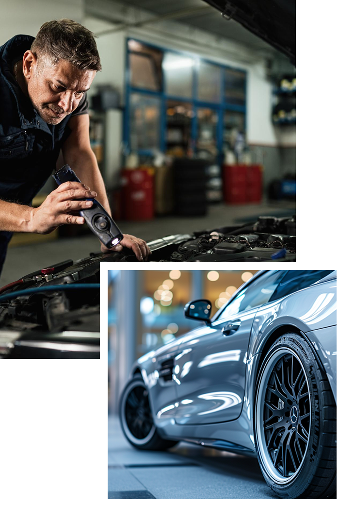 Section Image Container